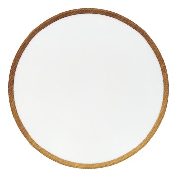 LED mennyezeti lámpa LED/40W/230V 3000/4000/6500K átm. 50 cm bézs