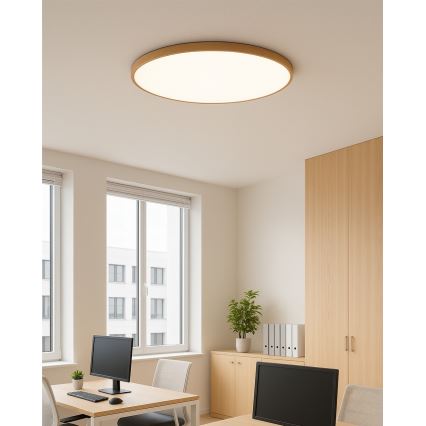 LED mennyezeti lámpa LED/40W/230V 3000/4000/6500K átm. 50 cm bézs