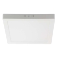LED Mennyezeti lámpa LED/6W/230V 4000K 12x12 cm fehér