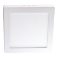 LED Mennyezeti lámpa LED/6W/230V 4000K 12x12 cm