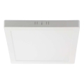 LED Mennyezeti lámpa LED/6W/230V 6500K 12x12 cm fehér