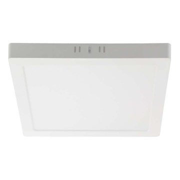 LED Mennyezeti lámpa LED/6W/230V 6500K 12x12 cm fehér