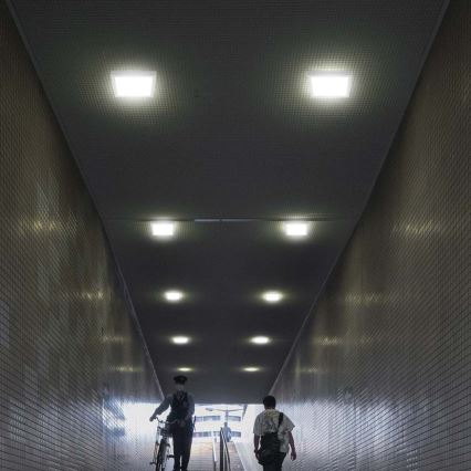 LED Mennyezeti lámpa LED/6W/230V 6500K 12x12 cm fehér