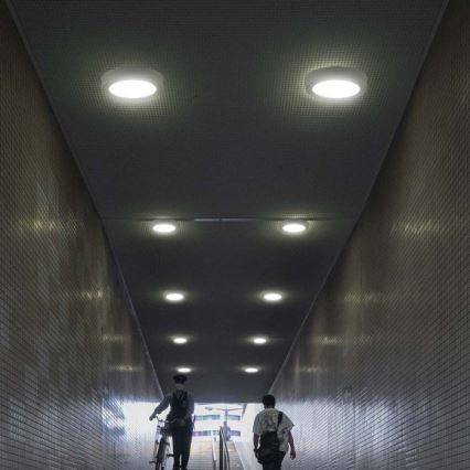 LED Mennyezeti lámpa LED/6W/230V 6500K átm. 12 cm fehér