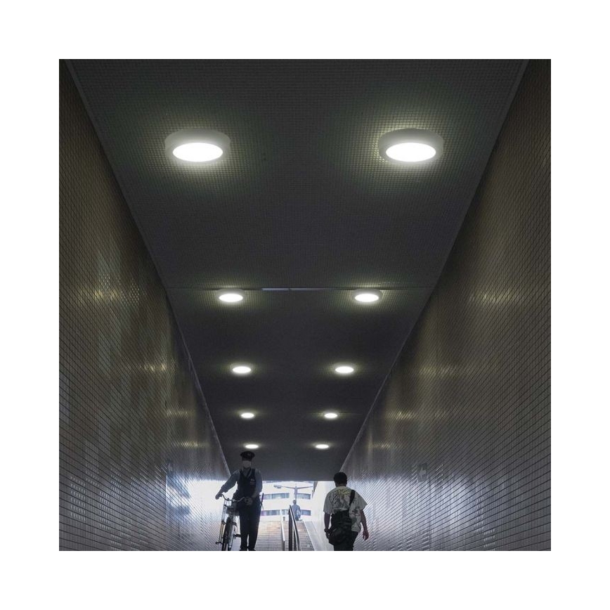 LED Mennyezeti lámpa LED/6W/230V 6500K átm. 12 cm fehér