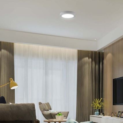 LED Mennyezeti lámpa LED/6W/230V 6500K átm. 12 cm fehér