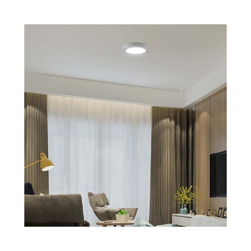 LED Mennyezeti lámpa LED/6W/230V 6500K átm. 12 cm fehér