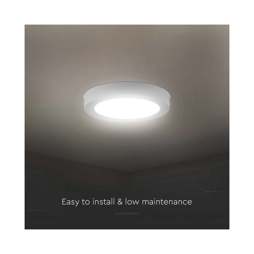 LED Mennyezeti lámpa LED/6W/230V 6500K átm. 12 cm fehér