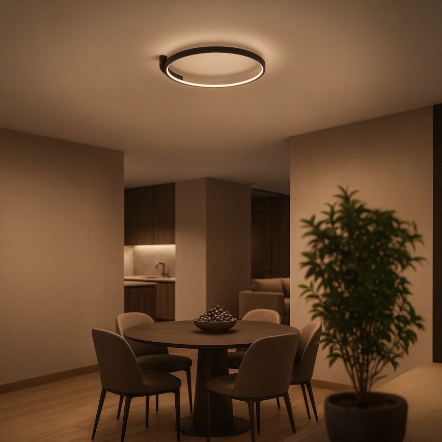 LED mennyezeti lámpa LUNA LED/18W/230V átm. 42,5 cm fekete