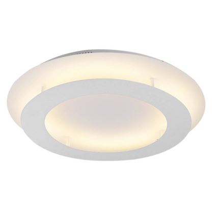 LED Mennyezeti lámpa MERLE LED/18W/230V