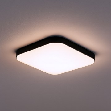 LED mennyezeti lámpa NEMO LED/11W/230V 26x26 cm fekete