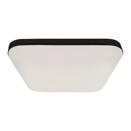 LED mennyezeti lámpa NEMO LED/11W/230V 26x26 cm fekete