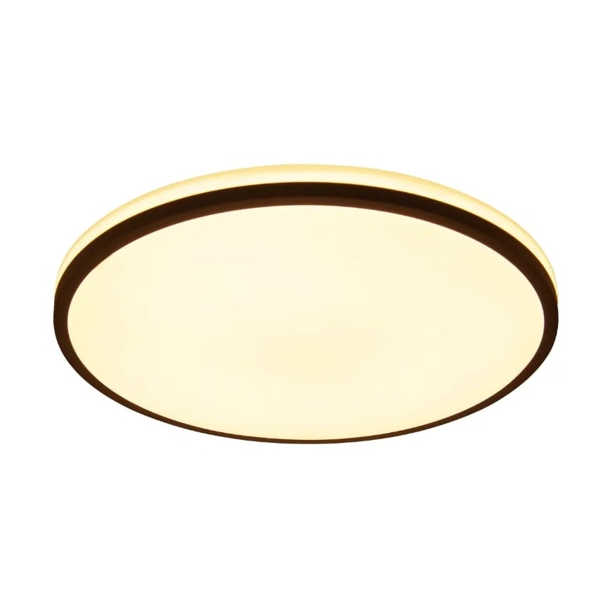 LED Dimmelhető mennyezeti lámpa OPAL LED/48W/230V 3000-6500K + távirányítás