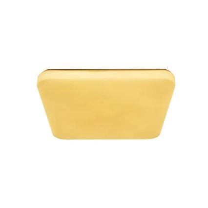 LED Dimmelhető mennyezeti lámpa OPAL LED/60W/230V 3000-6500K + távirányítás