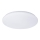 LED Mennyezeti lámpa PLAIN LED/15W/230V 3000K kerek