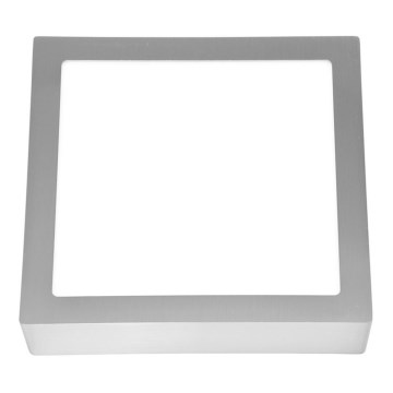 LED Mennyezeti lámpa RAFA LED/25W/230V 4100K