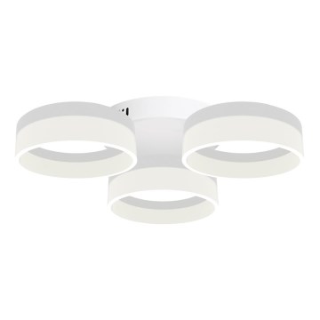 LED Mennyezeti lámpa RING 3xLED/12W/230V fehér