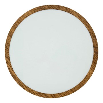 LED Mennyezeti lámpa RING LED/24W/230V 4200K átm. 28,5 cm barna