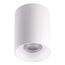 LED Mennyezeti lámpa RITI 1xGU10/25W/230V fehér