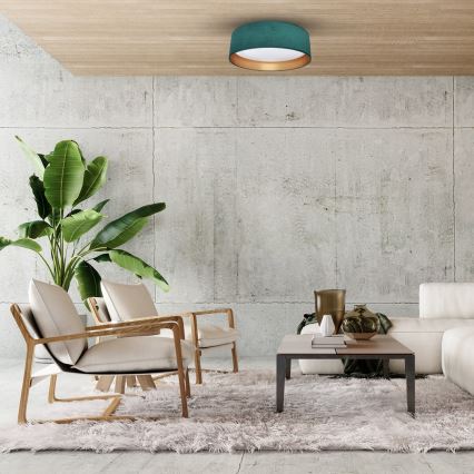 LED Mennyezeti lámpa RONDO LED/18W/230V zöld