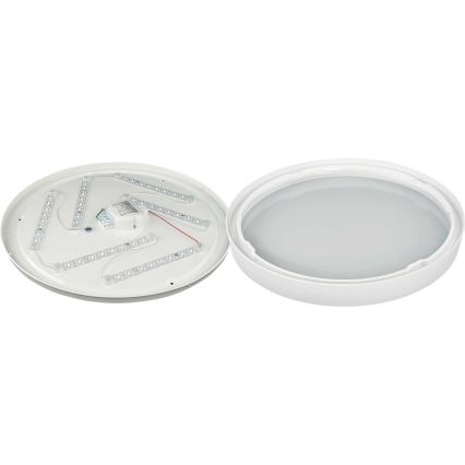 LED Mennyezeti lámpa SAMER LED/32W/230V 4000K