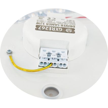 LED Mennyezeti lámpa SAMER LED/32W/230V 4000K