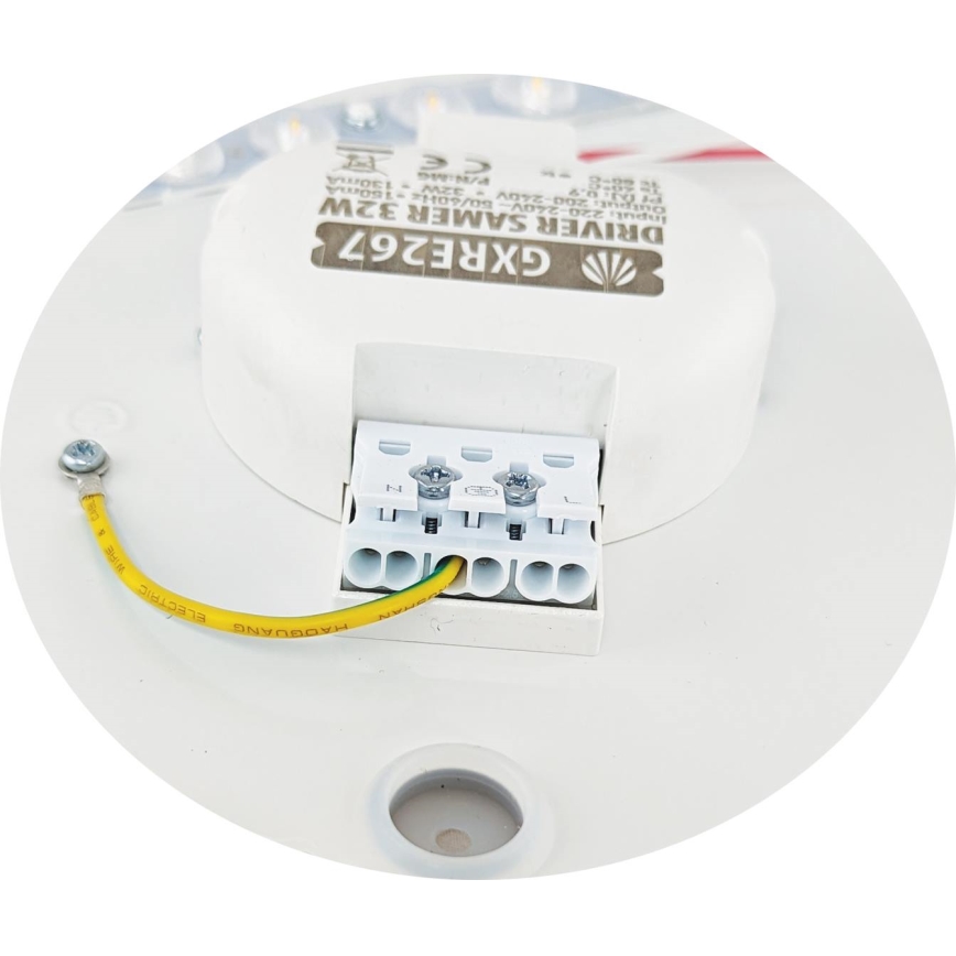 LED Mennyezeti lámpa SAMER LED/32W/230V 4000K