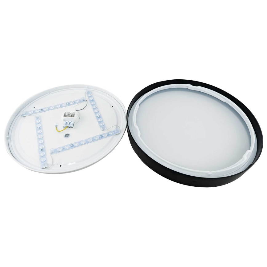 LED Mennyezeti lámpa SAMER LED/40W/230V 4000K