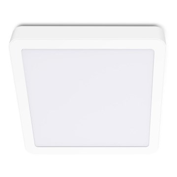 LED Mennyezeti lámpa SIGARO SQUARE LED/24W/230V 4000K IP40