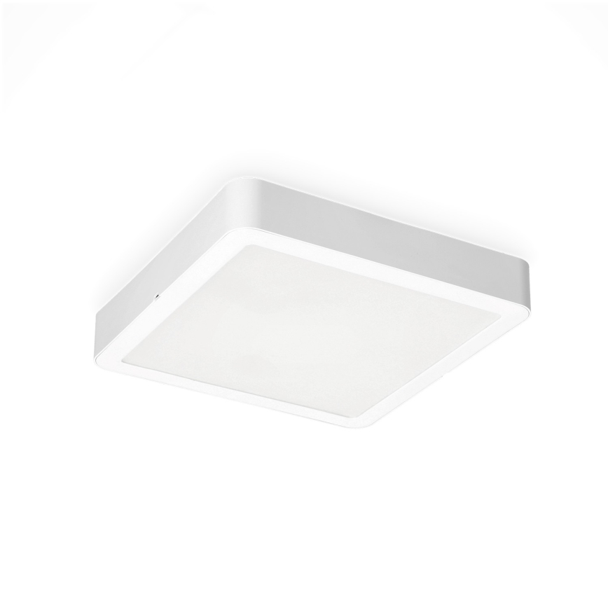 LED Mennyezeti lámpa SIGARO SQUARE LED/24W/230V 4000K IP40