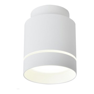 LED Mennyezeti lámpa TUBA LED/12W/230V