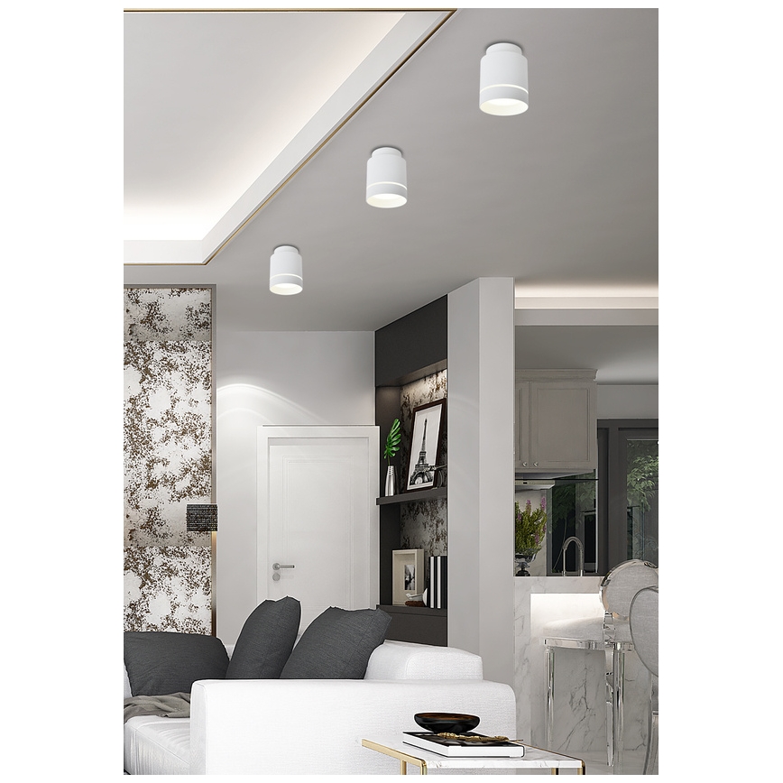 LED Mennyezeti lámpa TUBA LED/12W/230V