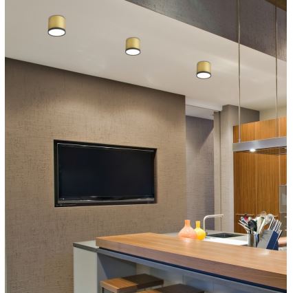 LED Mennyezeti lámpa TUBA LED/9W/230V