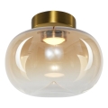 LED Mennyezeti lámpa VASO LED/4W/230V átm. 18 cm arany/füstös