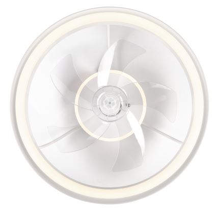 LED Dimmelhető mennyezeti lámpa ventilátorral FARGO LED/37W/230V fehér + távirányítás