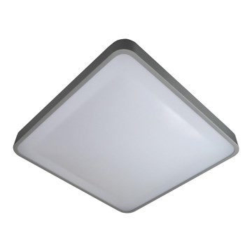 LED Mennyezeti lámpa WILTON LED/24W/230V 37,5x37,5 cm szürke