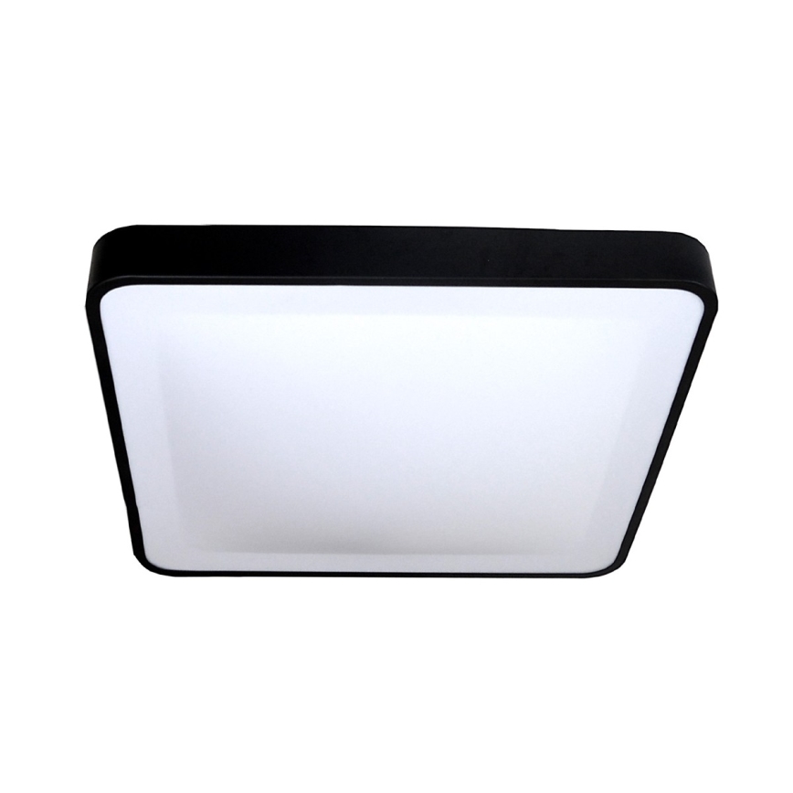 LED Mennyezeti lámpa WILTON LED/24W/230V 37,5x37,5 cm fekete