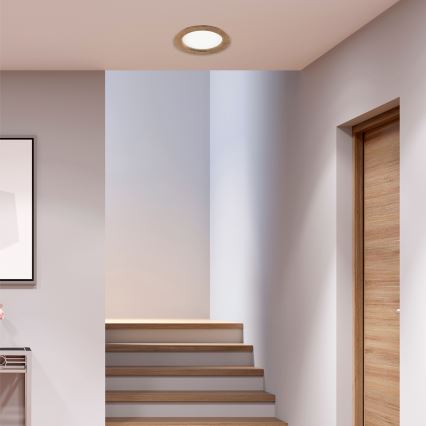 LED beépíthető lámpa WOODY SPOT LED/16,5W/230V 4000K dió ? 18,5 cm