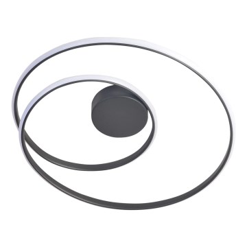 LED Mennyezeti lámpa ZEFIRA LED/40W/230V 4000K átm. 50 cm antracit