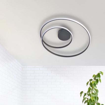 LED Mennyezeti lámpa ZEFIRA LED/40W/230V 4000K átm. 50 cm antracit