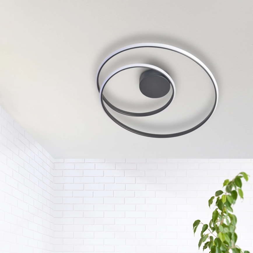 LED Mennyezeti lámpa ZEFIRA LED/40W/230V 4000K átm. 50 cm antracit