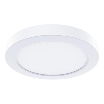 LED mennyezeti lámpatest EVORA LED/6W/230V 3000/4000/6000K Ø 14 cm fehér