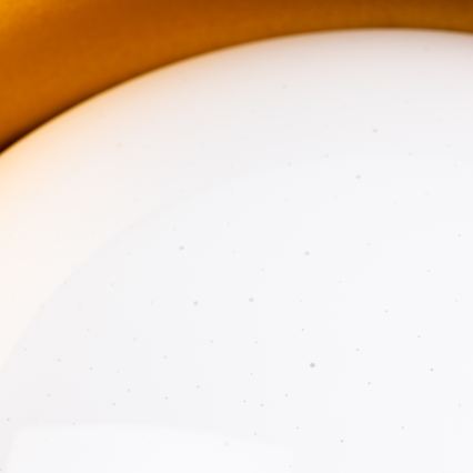LED mennyezeti lámpatest LED/12W/230V átm. 32 cm taupe/arany