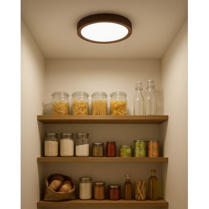 LED mennyezeti lámpatest LED/18W/230V 3000/4000/6500K átm. 23 cm barna