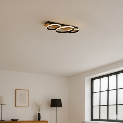 LED mennyezeti lámpatest ROWENA LED/18W/230V fekete/barna