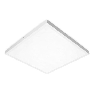 LED Mennyezeti panel BRISBANE LED/36W/230V 4000K 59,5x59,5 cm fehér