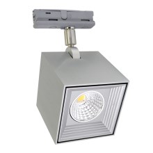 LED Menyezeti lámpa DAU SPOT MONOFASE LED/10W/230V