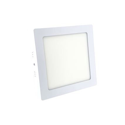LED Menyezeti lámpa LED/12W/230V 6500K