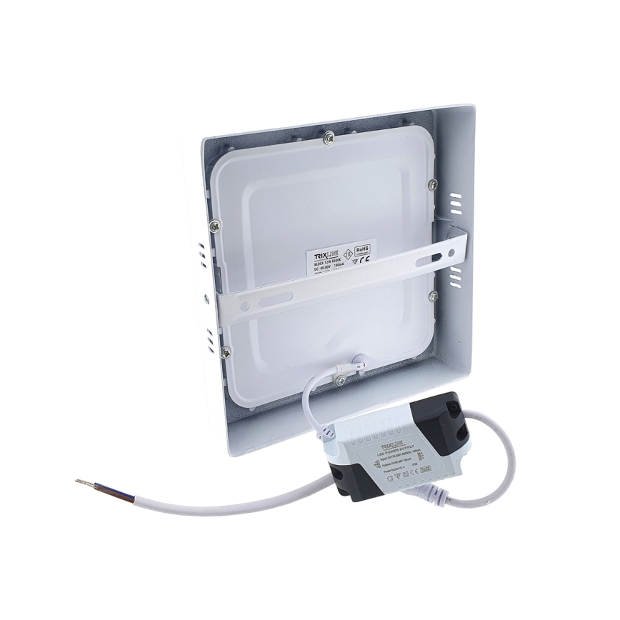 LED Menyezeti lámpa LED/12W/230V 6500K