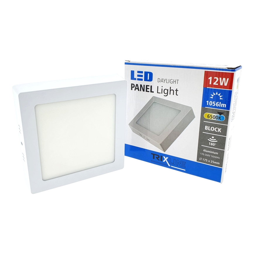 LED Menyezeti lámpa LED/12W/230V 6500K